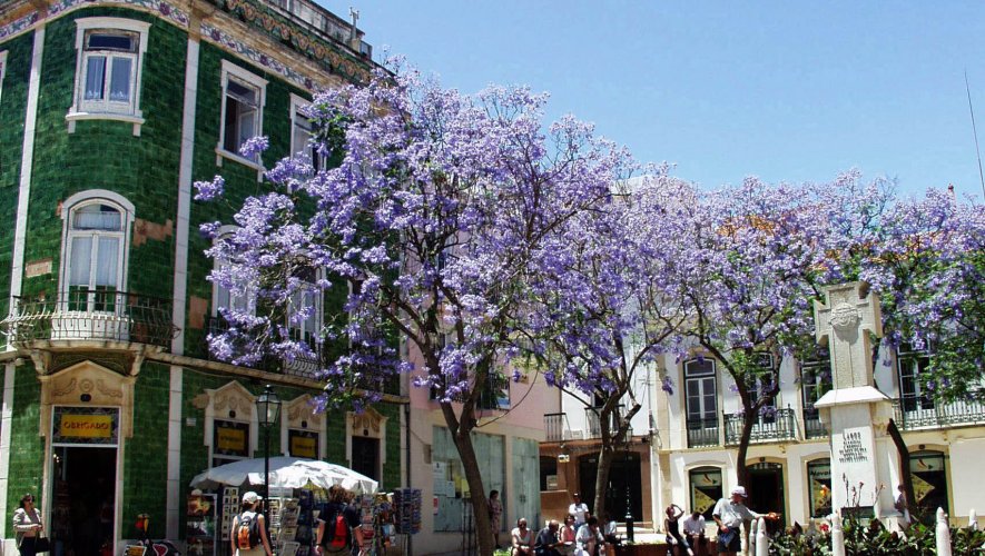 Traditional Architecture In The Historic Centre Of Lagos
