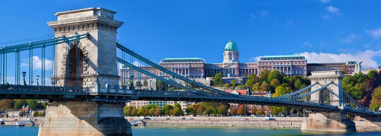 Buda Castle and Chain Bridge 